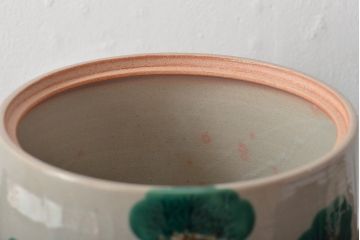 南口閑粋作　乾山老松　水指　共箱　茶道具(R-045010)