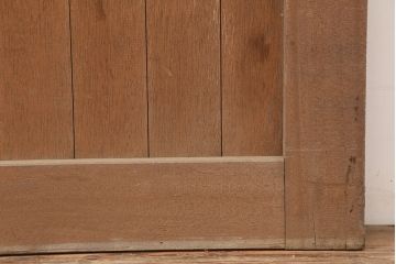 ビンテージ建具　昭和中期　大振りサイズのレトロな引き戸(蔵戸、建具、玄関戸)(R-045022)