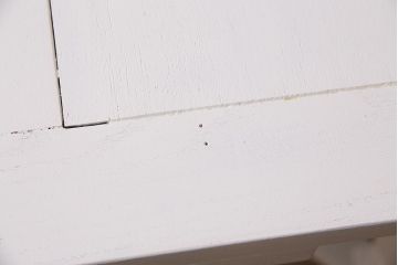 アンティーク家具　イギリスアンティーク　白いペイントのドローリーフテーブル(エクステンションテーブル、ダイニングテーブル)(R-045218)