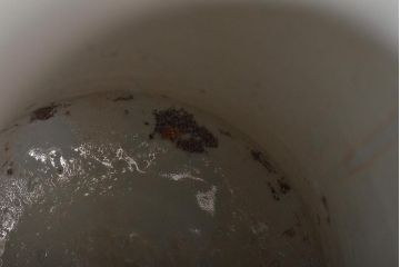 幕末〜明治　伊万里焼　花鳥図色絵花瓶一対(花器)(R-045304)