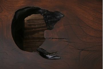 ビンテージ家具　昭和中期　総ケヤキ材　木の味わいをたっぷり味わえる座卓(センターテーブル、ローテーブル)(R-045342)