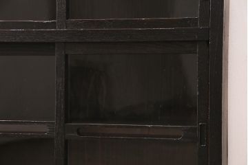 アンティーク家具　大正期　引き出し付き　小ぶりサイズ!和の雰囲気漂う戸棚(ガラスキャビネット、収納棚)(R-045351)