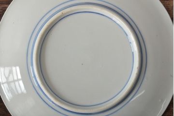 大正〜昭和初期　花蝶文6寸印判皿5枚(伊万里焼、和食器)(R-045521)