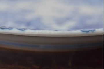 大正〜昭和初期　花蝶文6寸印判皿5枚(伊万里焼、和食器)(R-045526)