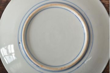 大正〜昭和初期　花蝶文6寸印判皿5枚(伊万里焼、和食器)(R-045526)