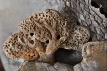 古い硯(中国、端渓、書道具、布箱)(R-045674)