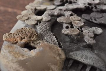 古い硯(中国、端渓、書道具、布箱)(R-045674)