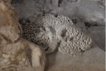 古い硯(中国、端渓、書道具、布箱)(R-045674)