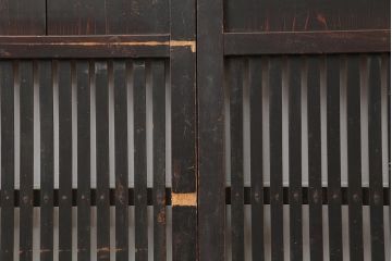 アンティーク建具　明治期　和空間や古民家スタイルにおすすめな格子帯戸2枚セット(引き戸、建具)(R-045690)