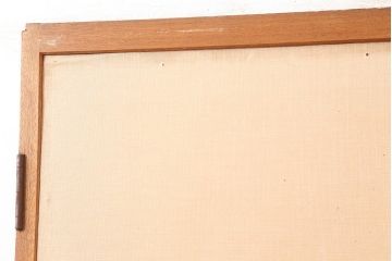 アンティーク建具　昭和中期　両開き　大正ロマン風に仕上がる親子ドア(木製扉)(R-045697)