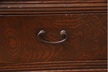 アンティーク家具　昭和初期　三方ケヤキ材　桔梗の透かし彫りがアクセントの戸棚(ローボード、収納棚)(R-045771)