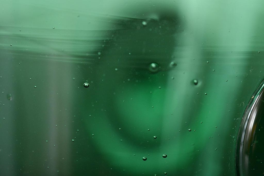 N10072 船木倭帆 作 プラントグラス 吹きガラス Shizu N10072 船木倭帆