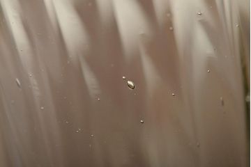 イタリア　ベネチアンガラス　八角形　グリーン　緑　グラス2客セット(コップ、ペアグラス、ヴェネチアングラス)(R-046003)