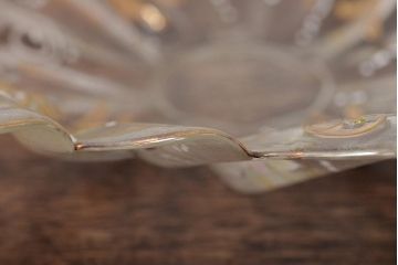 イタリア　ベネチアンガラス　金彩　花の図　小物入れ・お皿　2点セット(変形皿、菓子皿、洋食器、ヴェネチアングラス)(R-046124)