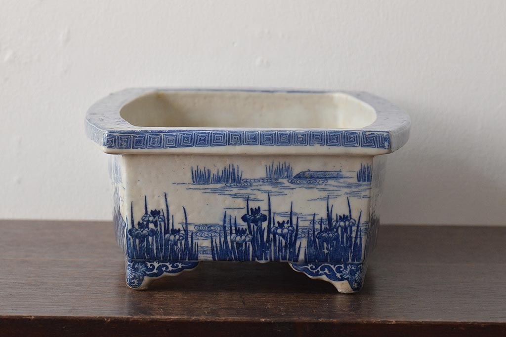 大正〜昭和初期　菖蒲文　印判　水盤(植木鉢、盆栽鉢)(R-046480)