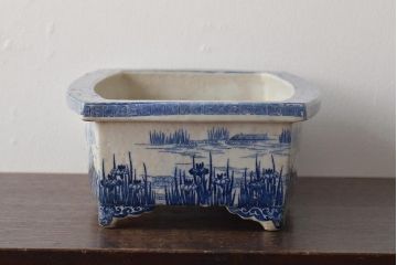 大正〜昭和初期　菖蒲文　印判　水盤(植木鉢、盆栽鉢)(R-046480)