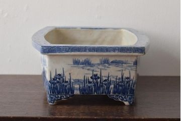 大正〜昭和初期　菖蒲文　印判　水盤(植木鉢、盆栽鉢)(R-046480)