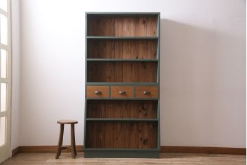 ラフジュ工房オリジナル　ペイント家具　古材使用　シックな雰囲気の薄型ブックシェルフ(収納棚、本棚、ウッドシェルフ)(R-046507)