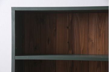 ラフジュ工房オリジナル　ペイント家具　古材使用　シックな雰囲気の薄型ブックシェルフ(収納棚、本棚、ウッドシェルフ)(R-046507)