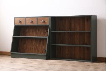 ラフジュ工房オリジナル　ペイント家具　古材使用　シックな雰囲気の薄型ブックシェルフ(収納棚、本棚、ウッドシェルフ)(R-046507)