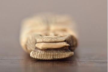 古い彫刻根付5点(玉之、鼠、壽老人、提物)(R-046520)