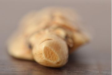 古い彫刻根付5点(玉之、鼠、壽老人、提物)(R-046520)