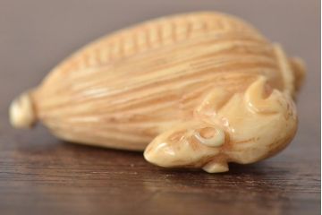 古い彫刻根付5点(玉之、鼠、壽老人、提物)(R-046520)