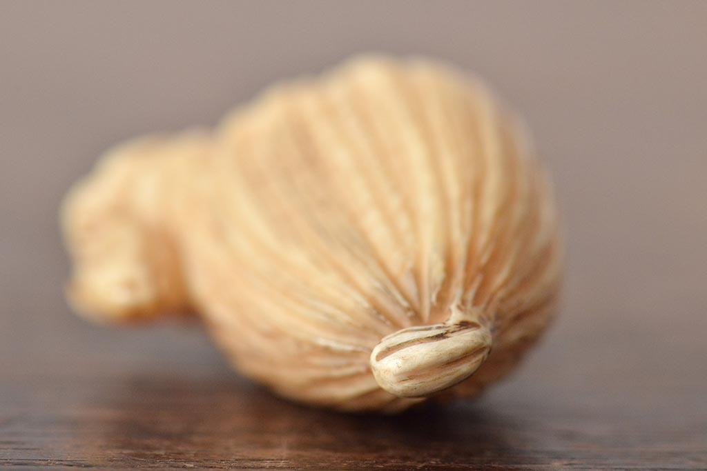 古い彫刻根付5点(玉之、鼠、壽老人、提物)(R-046520)