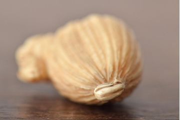 古い彫刻根付5点(玉之、鼠、壽老人、提物)(R-046520)