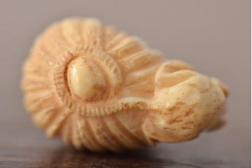 古い彫刻根付5点(玉之、鼠、壽老人、提物)(R-046520)