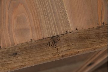 アンティーク家具　大正昭和初期　ストリップド(剥離)　ニレ材　幾何学模様がおしゃれなガラスケース(飾り棚、ショーケース、陳列棚)(R-046630)