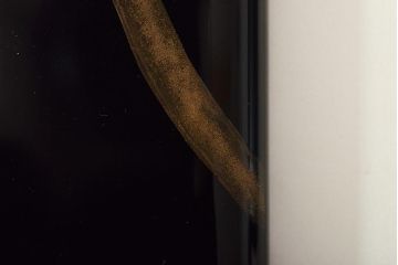 輪島塗　子舟作　柿の図蒔絵文庫(硯箱、文箱、木製漆器)(R-046643)