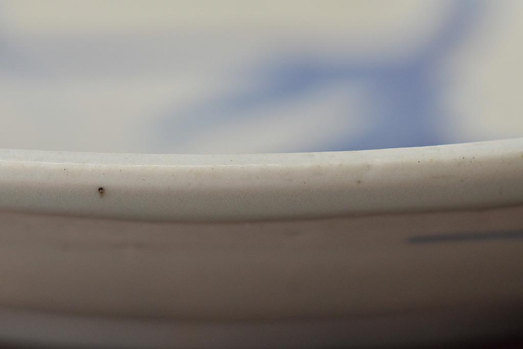 正利銘　呉須　染付八寸皿(魚文、古染付、中国)(R-046710)