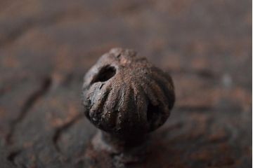大正〜昭和初期　南部保寿堂　鉄瓶(茶道具)(R-046737)
