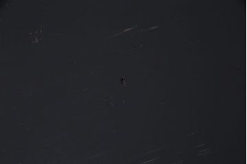 アンティーク家具　大正期　ペイント メンズライクな空間におすすめの収納棚(本棚)(R-046833)