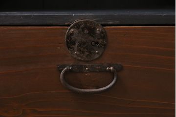 アンティーク家具　大正期　ペイント メンズライクな空間におすすめの収納棚(本棚)(R-046833)