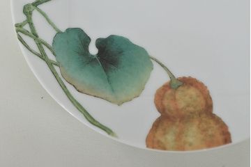 未使用　ノリタケ(Noritake)　京香旬彩　銘々皿5枚 / 香蘭社　貴婦人中皿5枚(R-046842)