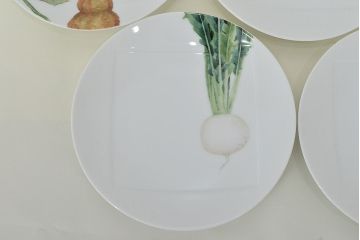 未使用　ノリタケ(Noritake)　京香旬彩　銘々皿5枚 / 香蘭社　貴婦人中皿5枚(R-046842)