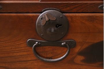 和製アンティーク　蝶と牡丹の意匠が可愛らしい二本松箪笥ローボード(二本松箪笥、テレビボード、収納棚)(R-046937)