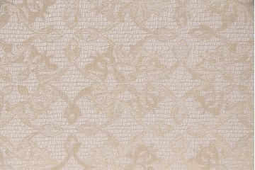 アンティーク家具　イギリスアンティーク　オーク材　脚のデザインがお洒落なキャビネット(ガラスケース、飾り棚)(R-046938)