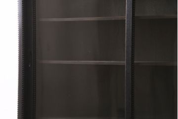 アンティーク家具　昭和初期　ペイント　薄型サイズが珍しい!コレクションのディスプレイにおすすめのキャビネット(収納棚、ガラス戸棚、飾り棚)(R-046945)