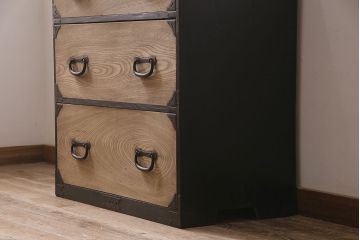 アンティーク家具　明治大正期　ストリップド(剥離)　前面ケヤキ材　ペイント　シンプルモダンな佇まいが魅力の衣装箪笥(タンス、引き出し、チェスト)(R-046960)