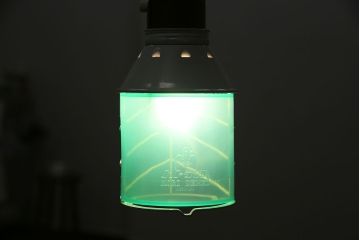 昭和レトロ　森電機　ハトライト・箱付き　好みで色が変えられる懐かしい雰囲気の吊り下げ照明(天井照明、ランプ)(R-046993)