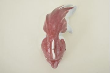 高木鳳子作　金魚一対　置物　共箱(磁器)(R-047087)