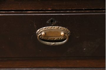 和製アンティーク　大正ロマンな雰囲気漂う上手物の本箱(ブックケース、収納棚、戸棚)(R-047268)