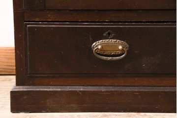 和製アンティーク　大正ロマンな雰囲気漂う上手物の本箱(ブックケース、収納棚、戸棚)(R-047268)