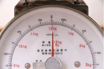 アンティーク雑貨　昭和中期　Tanimoto　レトロな佇まいが可愛らしいベビースケール(赤ちゃん体重計、ベビー秤、籠付き、バスケット)(R-047380)