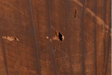和製アンティーク　細かなパーツの整理にもぴったり!当時の味わいがたっぷり詰まった薬箪笥(引き出し)(R-047421)