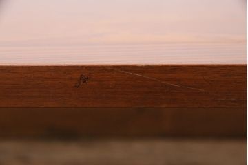 ビンテージ　天童木工　ローズウッド材の流れるような木目が存在感抜群の座卓(ローテーブル)(R-047726)