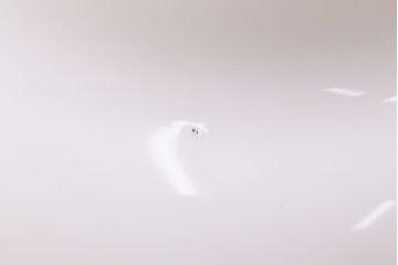 アンティーク照明　柔らかな曲線のフォルムが優しい雰囲気を漂わせる天井照明(ペンダントライト、吊り下げ照明)(R-047778)